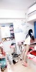 网红狗头萝莉约炮事件最新进展