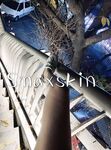 【外网精选】推特Smaxskin& FMiu00主奴博主视图新作合集