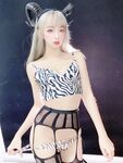 새해 한정 서큐버스 [40P1V-272MB]