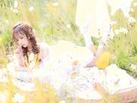 夏限定-衣類乾燥[41P69MB]