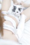 我和猫 [90P-114MB]