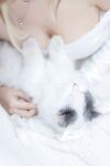 我和猫 [90P-114MB]