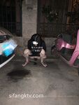 Private photos of a Beijing couple leaked