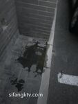Private photos of a Beijing couple leaked