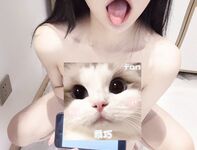 momo 仙女棒