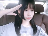 ovo-set gambar