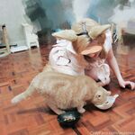 Onlyfans 奶咪視圖合輯 1