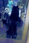 抖音狗頭蘿莉珍藏合輯