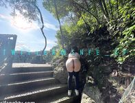 洋气的葱