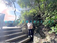 洋气的葱