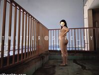 洋气的葱