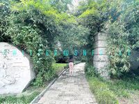 洋气的葱