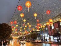 洋气的葱