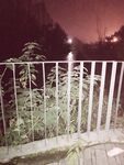 마스수요 - 밤 공원에서 강제 XX 조우 실기록 [62P+2V]