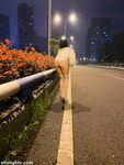 桃酥