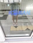 Con khốn Hàn Quốc "B5rass" được huấn luyện chăm chỉ bằng nắm đấm, nhét lồn, mở rộng hậu môn, đi bộ khỏa thân qua đêm, quan hệ tình dục bằng miệng