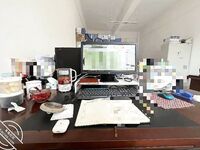 Chị Ping, mẹ của nữ thần loạn luân và giáo viên ở Cộng đồng Haijiao, là một tác phẩm mới gây sốc. Cuộc truy hoan tình dục giữa Chị Ping và con trai bà chứa đầy những đoạn hội thoại tục tĩu ở độ phân giải cao.