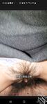 4 Sau gần hai tháng, tôi, Zhang Huguo, một lần nữa xâm nhập vào cơ thể con gái tôi.