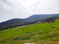 高颜美乳女神博主『杭州玩偶』联动萝莉闺蜜『莹儿』性感来临护士界的李小璐高清