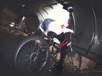 價值40美金韓國高端攝影頂級女神 ▌Aram▌調教露出肛塞尾巴束縛 跳蛋控制潮吹漏尿 美人胚反差婊