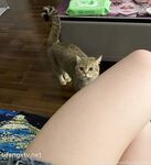 推特57万粉网红女神『一只云烧』最新OF订阅私拍童颜巨乳各式COS极度魅惑高清