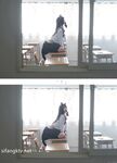 Twitter Loli Goddess "Luo Luo Raku" การถ่ายทำอนิเมะ COS ขนาดใหญ่สุดส่วนตัว "Queen of Lust" สวยงามและน่าดึงดูดสุด ๆ 