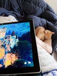 Twitter Cô em gái xinh đẹp thanh lịch và tóc ngắn tài giỏi của Thượng Hải [Weiyang] đã trả lợi ích cho nhóm ~ Đĩ luôn khoe khoang ~ Ziwei phun nước để lộ vẻ siêu gợi cảm của Lily