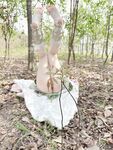 Welfare Ji@super tender beautiful pussy@cute cute girl@soft cute rabbit and grass god soft cute