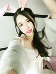 ウェブコレクション