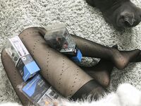 ウェブコレクション