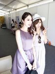 ウェブコレクション