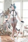 [Tokar浵卡 Laurus] 11月合集