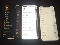 《顶级⭐重磅☛会所首发》推特反差变态泛性恋资深腐女【Eve_S8899】超强精液圣水调教男M女M绿帽奴3P双飞身材杠杠滴460P
