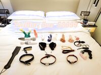 《顶级⭐重磅☛会所首发》推特反差变态泛性恋资深腐女【Eve_S8899】超强精液圣水调教男M女M绿帽奴3P双飞身材杠杠滴460P
