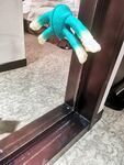《顶级⭐重磅☛会所首发》推特反差变态泛性恋资深腐女【Eve_S8899】超强精液圣水调教男M女M绿帽奴3P双飞身材杠杠滴460P