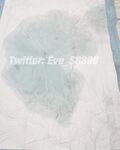 《顶级⭐重磅☛会所首发》推特反差变态泛性恋资深腐女【Eve_S8899】超强精液圣水调教男M女M绿帽奴3P双飞身材杠杠滴460P