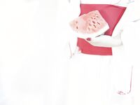 Luomeijiang-NO.020 번들 플레이