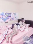 AT鲨- NO.015 网袜
