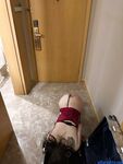 高顏模特身材氣質網紅女神【總在你背後TK】露臉淫亂私拍，女神調教成母狗給黃毛兄弟一起肏3P