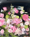 芷仪g宝微密圈#VIP付费贴# 08月14日路过的车主把车停下来