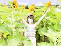 顔を見せることが最善策です！人々は見た目が清らかで、肌が白く、無毛で美しく、女の子を露出するのが大好きであるべきではありません[Yiliwen]を購読して、街頭のスーパーマーケットやショッピングモールでさまざまな人々の前で自分自身を露出させてください。