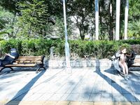 顔を見せることが最善策です！人々は見た目が清らかで、肌が白く、無毛で美しく、女の子を露出するのが大好きであるべきではありません[Yiliwen]を購読して、街頭のスーパーマーケットやショッピングモールでさまざまな人々の前で自分自身を露出させてください。