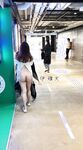 顔を見せることが最善策です！人々は見た目が清らかで、肌が白く、無毛で美しく、女の子を露出するのが大好きであるべきではありません[Yiliwen]を購読して、街頭のスーパーマーケットやショッピングモールでさまざまな人々の前で自分自身を露出させてください。