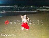 推特极品反差骚母狗露出淫乱狂魔【西西小姐】私拍日记，露出肛交啪啪男女通吃相当炸裂