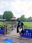 Penggambaran peribadi pasangan suami isteri NTR terkenal Shandong bernilai seribu yuan [perangai kecil].