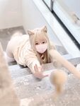 軟萌兔兔醬 愛貓人士