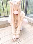 軟萌兔兔醬 愛貓人士