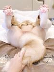 軟萌兔兔醬 愛貓人士