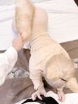 軟萌兔兔醬 愛貓人士