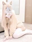 軟萌兔兔醬 愛貓人士